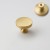 Möbelknopf Belen – Griff in gebürstetem Gold für Schränke und Schubladen im modernen, klassischen und Glamour-Stil. Erhältlich in 28 und 32 mm Durchmesser – egriffe.at