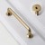 Möbelgriff Grillo – eleganter länglicher Griff und sechseckiger Knopf für Schränke und Schubladen in gebürstetem Gold, Schwarz, gebürstetem Nickel und Perlgrau – egriffe.at.