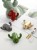 Wandhaken Cactus – verspielt und modern, ideal für Flur, Küche, Bad und Kinderzimmer. Robust und leicht zu montieren. Farben: Gold, Rot, Grün und Grau.